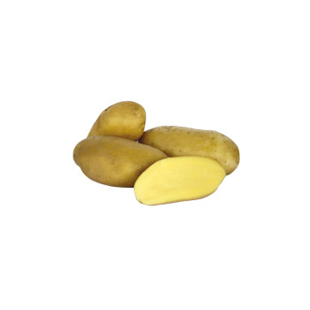 KROMPIR CELTIANE 3 kg  25/30mm 