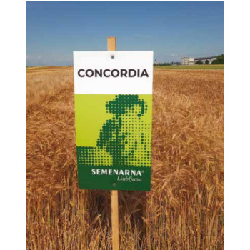 JEČMEN NAVADNI CONCORDIA C1 25 KG T 