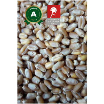 PŠENICA NAVADNA GOROLKA 25 KG 