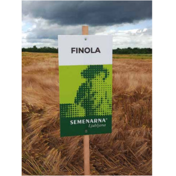 JEČMEN NAVADNI FINOLA C1 25 KG T 