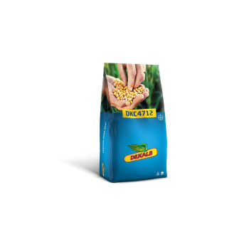 Koruza DKC 4712 80 MK Acceleron Elite 