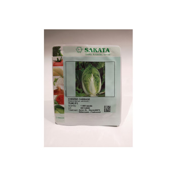 KITAJSKO ZELJE YUKI F1 1/1000 zrn 