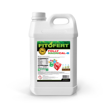 Fitofert Folly Magnical-B 5 l 