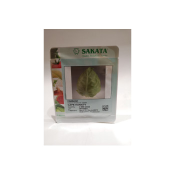 KONIČASTO ZELJE CAPE HORN F1 1/2500 zrn 