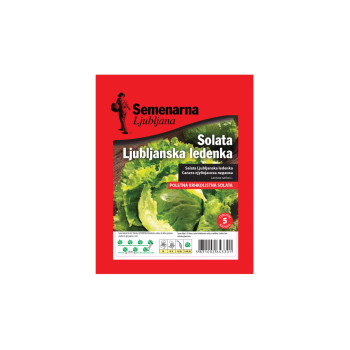 Solata ljubljanska ledenka 25 g Semenarna 