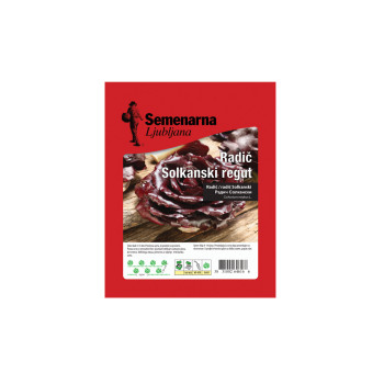 RADIČ SOLKANSKI REGUT 50 g Semenarna 