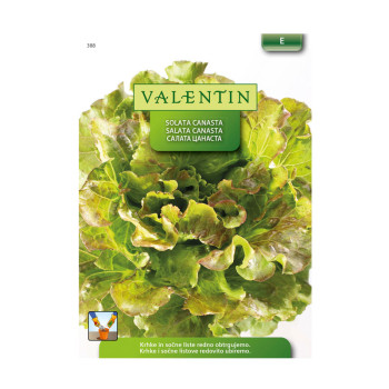 Valentin 388 solata Canasta 