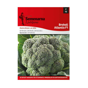 M.VREČKA   15 BROKOLI ATLANTIS F1 