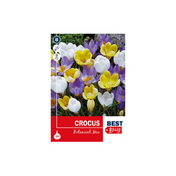 Super Best Buy Crocus Botanical Mix 15/1 