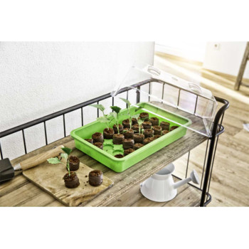 Rastlinjak mini sobni 38x24x6 cm zel., rum. 