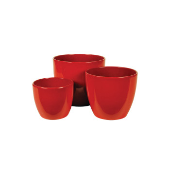 Lonec okr. 909/13 rdeč int. 