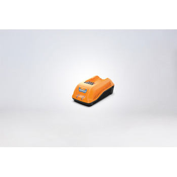 Polnilnik 40V 2.0A Zen Villager 