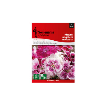 AGM SEM   3138 KINESKI KARANFIL MIX 