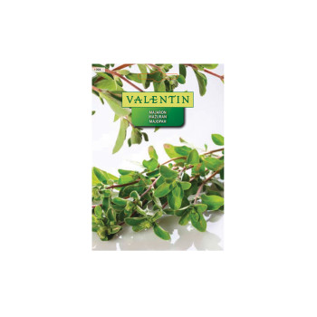 Majaron 1094 Valentin 