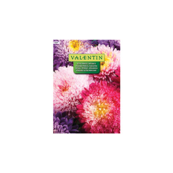 Astra Princes - Mešanica 2404 Valentin 