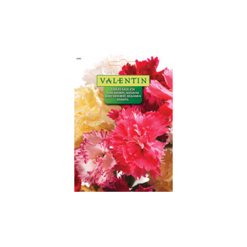 Šabojev Nageljček - Mešanica 3245 Valentin 