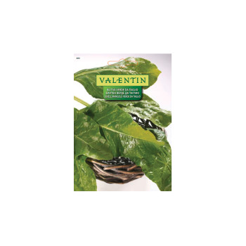 Mangold Verde Da Taglio 484 Valentin 