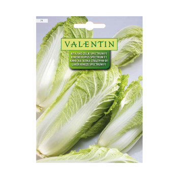 Kitajsko Zelje Spectrum F1 71 Valentin 