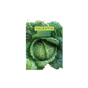 Ohrovt Di Castelnuovo Invernale 102 Valentin 