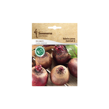 Bio Rdeča Pesa Detroit 2 260 Semenarna 