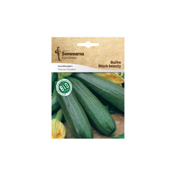 Bio Bučke Black Beauty 703 Semenarna 
