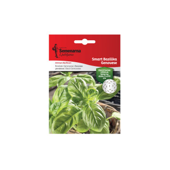 Smart Disk Bazilika Semenarna 