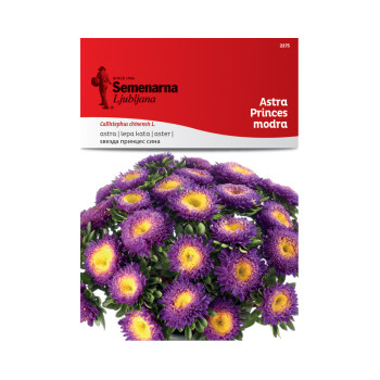 Astra Princes - Modra 2275 Semenarna 