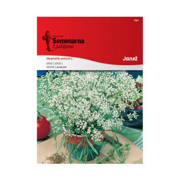 Janež 1101 Semenarna 