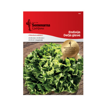 Endivija Decja Glava 442 Semenarna 