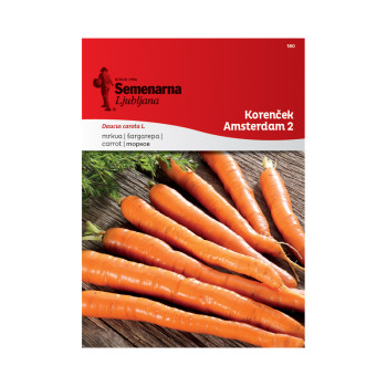 Korenček Amsterdam 2 180 Semenarna 