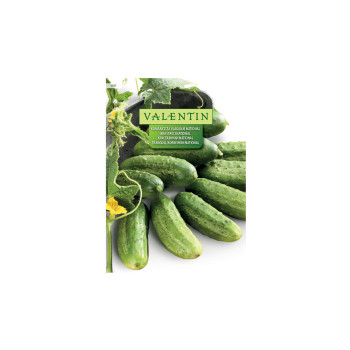 Kumare Za Vlaganje National 637 Valentin 