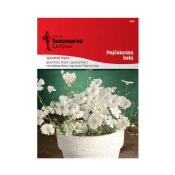 Pajčolanka Bela 3665 Semenarna 