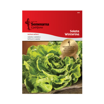 Solata Winterina 404 Semenarna 