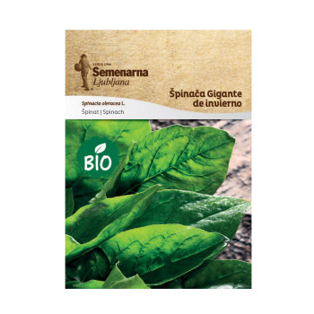 Bio Špinača Gigante De Invierno 467 Semenarna 