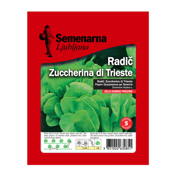 Radič Zuccherina Di Trieste 50 g Semenarna 