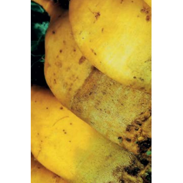 Krmna pesa Brigadier 250 g 