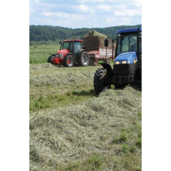 Travnik brez detelje 10 kg 