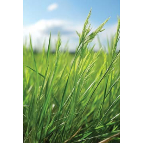 Mnog. ljuljka Melquatro 1 kg 