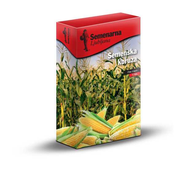 Koruza RGT Dragster 5 MK 