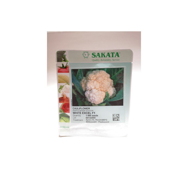 CVETAČA WHITE EXCEL F1  1/1000 zrn netret. 