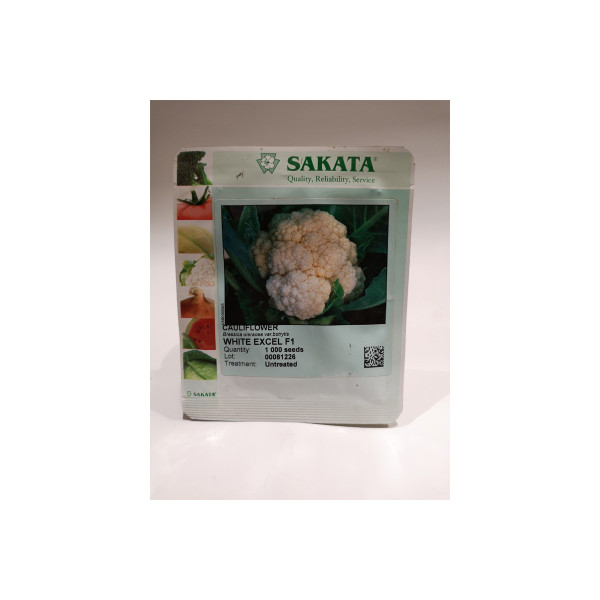 CVETAČA WHITE EXCEL F1  1/1000 zrn netret. 