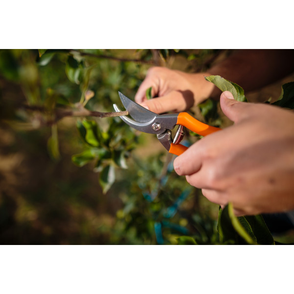 Škarje za obrezovanje 20cm PS 101 Villager 