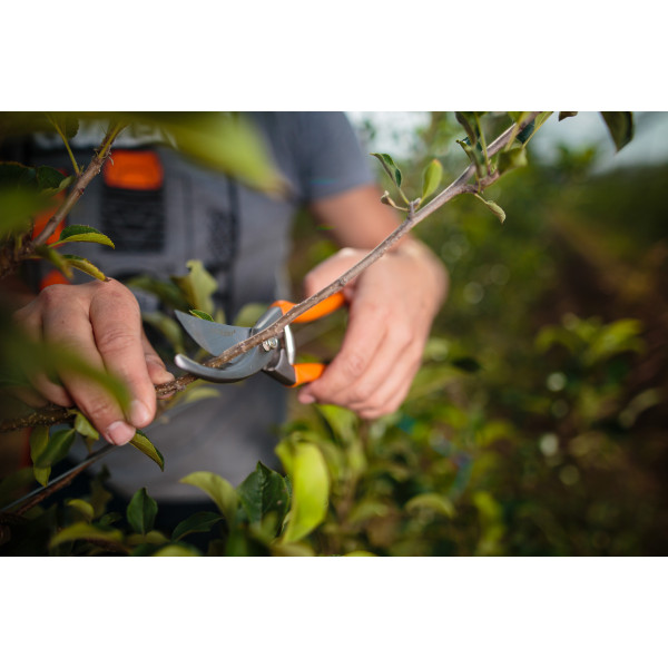Škarje za obrezovanje 20cm PS 101 Villager 