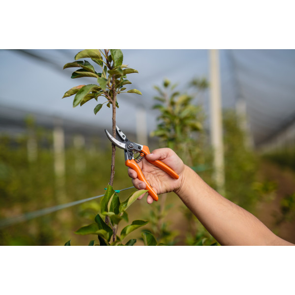 Škarje za obrezovanje 20cm PS 102 Villager 