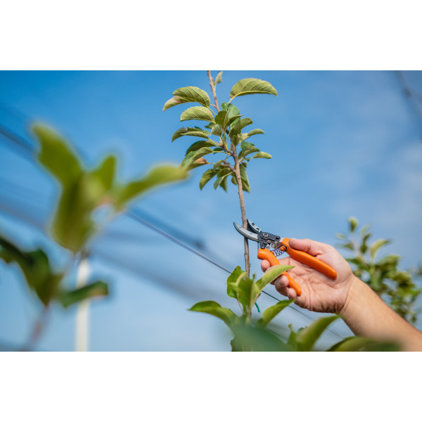 Škarje za obrezovanje 20cm PS 102 Villager 