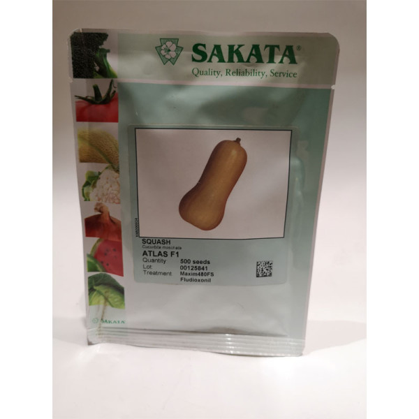 BUČE ATLAS F1 1/500ZRN 