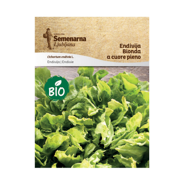 Bio Endivija Bionda A Cuore Pieno 430 Semenarna 