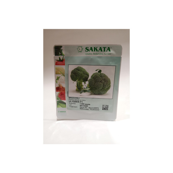BROKOLI ULYSSES F1 1/1000 zrn 