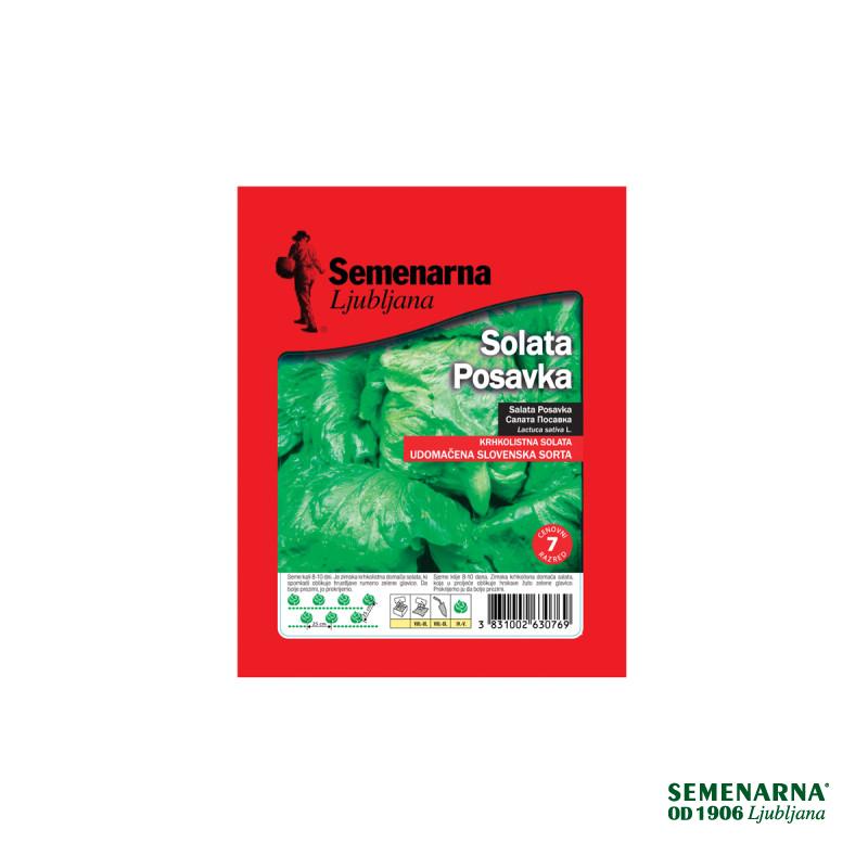 Solata Posavka 25 g Semenarna 