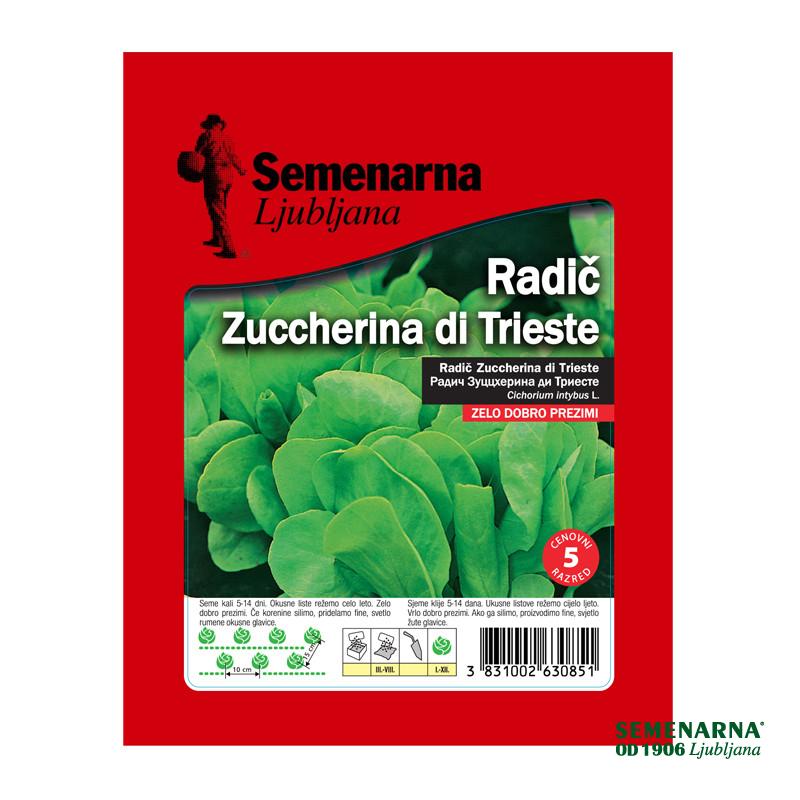 Radič Zuccherina Di Trieste 50 g Semenarna 